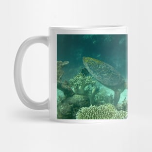 Turtle Mug